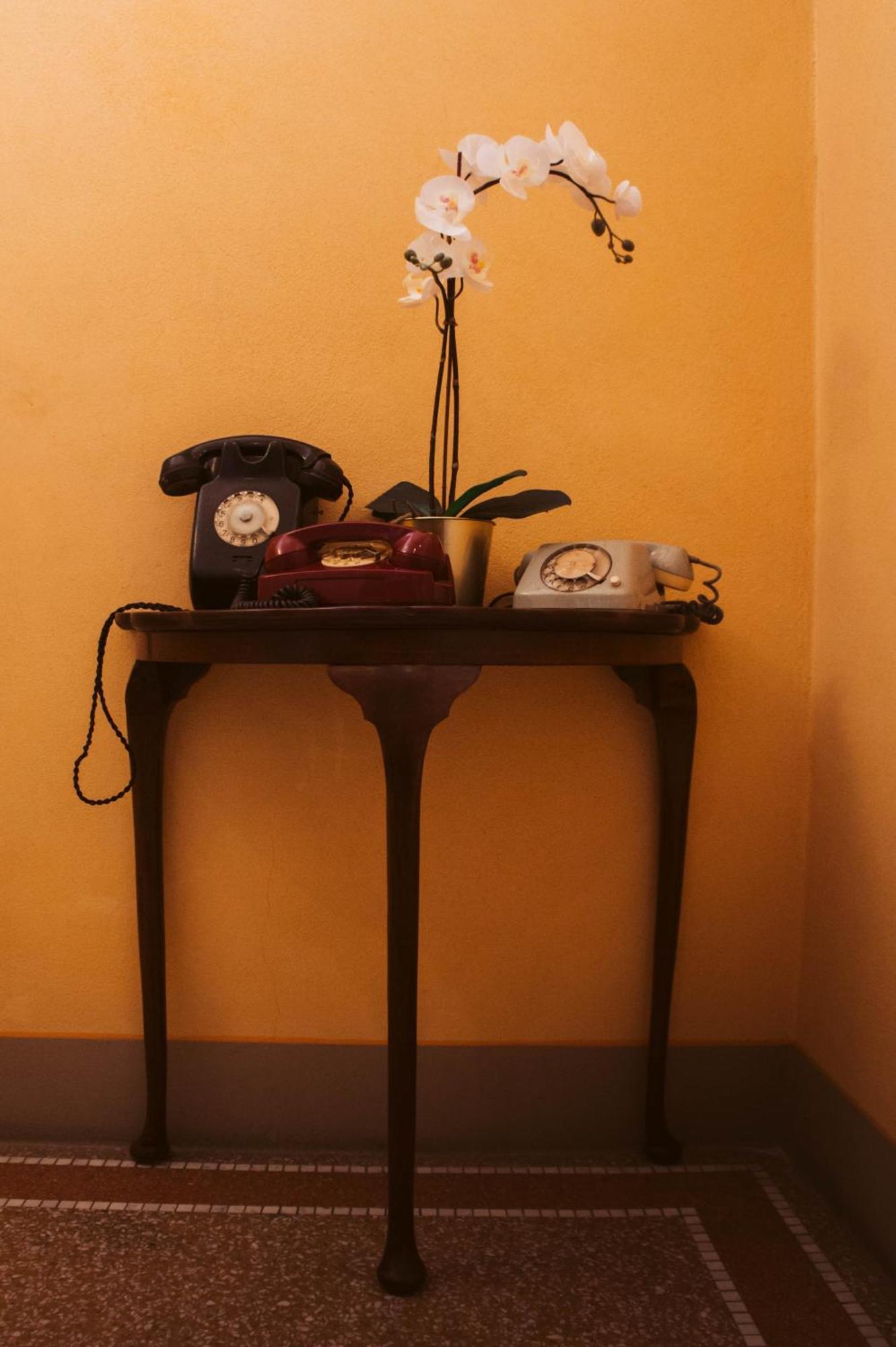 Villa Agnese B&B Lucca Luaran gambar